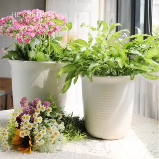 金卉园艺·开业鲜花篮配送、成都鲜花绿植室...