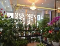 园林绿化、植物销售、绿化养护、免费设计、...