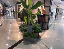 成都木景园林绿化工程·鲜花种植.园林设计...
