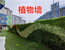 成都金牛区珍怡花行·鲜花出售