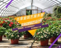 武侯区百草堂园艺服务部·鲜花绿植一小时急...