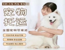 成都宠物猫咪狗狗空运火车汽运专车运输托运...