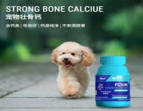 全新狗粮代理批发