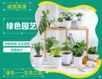 成都绿色园艺·园林花卉