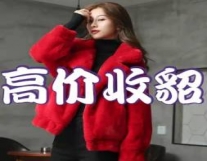 成都回收貂皮 成都貂皮回收 高价上门回收...