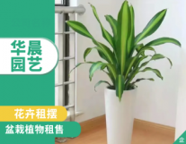 成渝立交成都华晨园艺·鲜花绿植专业租赁....