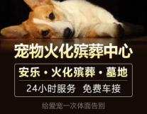成都宠物火化殡葬中心:24小时|免费车接...