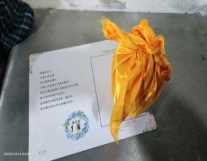 宠物猫猫狗狗去世了怎么办？