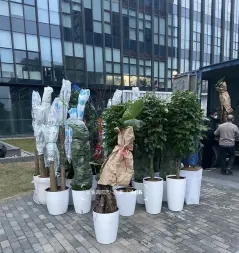 3709b1cc78a316e7ce07129e0678b6f1_n_v335987929bbaa4548b00bd131d8c60d11_w=338&h=253