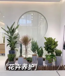 7eb878ea8348e9cc35f90e288a0570bd_n_v33d4d44d507ed439591a477695f0611d1_w=338&h=253