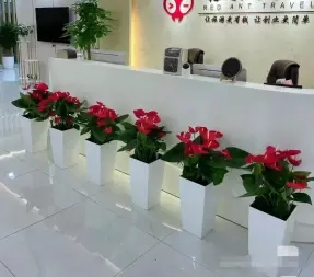 8e9176f1c8bfa5e88e523019a3e0fee9_n_v3a085c49259674367aa31872fc6b4745b_w=338&h=253