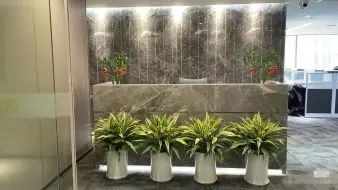 3908007002d2f37fbb9bf9a06cf98235_n_v33239041f8baf4093aedb2632f91c25af_w=338&h=253