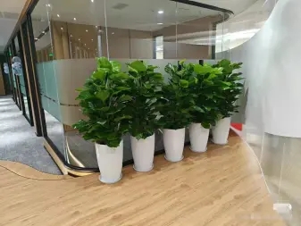 f1a75933aa9b10966000dac846fe3ee3_n_v3c162786e55dd422997e5528c8e0789f1_w=338&h=253