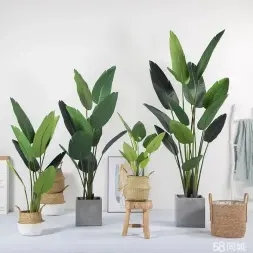 95a1eeadabc4e41711015780cedc2eb2_n_v3c6a25cc0fe304473a64d8c2fd300dd24_w=338&h=253