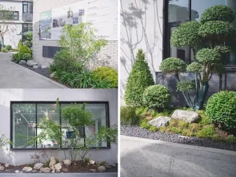 8f28f3b06567213c37969f7e912733a5_n_v2c93e9faea9194574a497284dad02ddfb_w=338&h=253