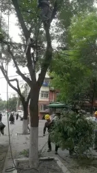 b05f0d74f6a891e25fde7247b4d0dfae_n_v38128e74df68f48c0b7d835f1aeaaf0f9_w=338&h=253