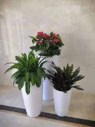 6f6c5f0f943a13fd833fb1ab711a7fa7_n_v28d7bf2ef4a84439d836b3f254fd6d442_w=338&h=253