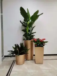 cee59c0034026eed5224efbf6c2421ef_n_v2c7805856a46046399a2b08df9c0d104a_w=338&h=253