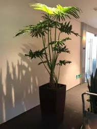 c0bc3bbc5cabd1257f3477520ef8bde3_n_v2b3171af4c8314b0aa83bfc33a927329f_w=338&h=253