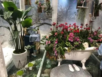 3b44c06e810fb7de4171e752a7083146_n_v24549787398624d62a0d2bcc8cd3f58e8_w=338&h=253