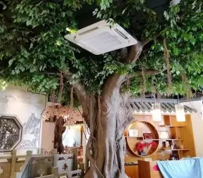 611916e4faae973623f8f0a1f13c2e18_n_v2de56d92bb23948168fece24dc4f7383d_w=338&h=253