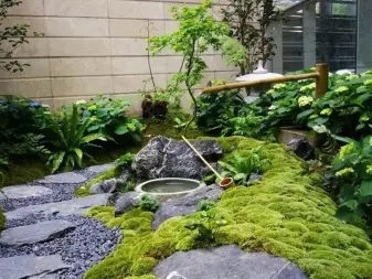 832e0ea50f85ca556a17382ee3768d3f_n_v2dd258b4cf3274d93beac6f78f25a12c1_w=338&h=253