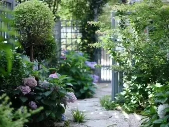 7fc558fb5478dde5a672a240af355fbb_n_v251c117ab88844d23a36af767ea719bb0_w=338&h=253