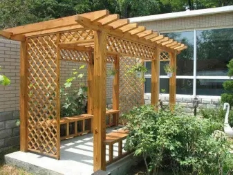 d7a2c4101b42e4076c33506aee976435_n_v3cb7de26e3aff4481bc28f4c90cf946b1_w=338&h=253