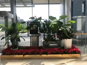 1b97ff0e96b8da8cb7bdc3374d31a014_n_v3ea463c1e361a42ae84cd23a03268fc66_w=338&h=253