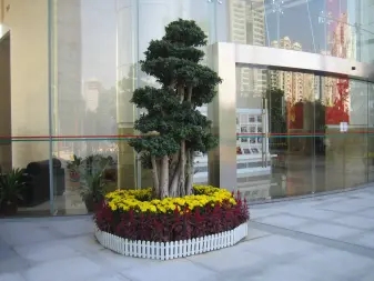 19aebf5afdd78712fbb7f2e71fd82816_n_v30ad731c9c1284666aee47dc86913487f_w=338&h=253