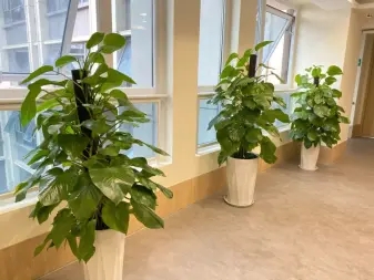 1696eefc739981927ff7d08f1f73ad83_n_v3f466638b240f4ed390db8fdd2d5d7b25_w=338&h=253