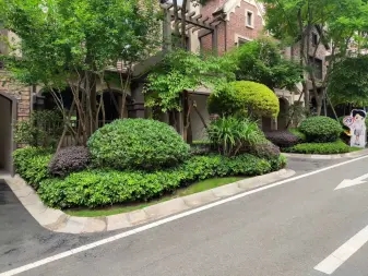 7befa1aef6060da177ef59a0ff0386a6_n_v2feb314f8478648e3964fe08fd47d08fa_w=338&h=253