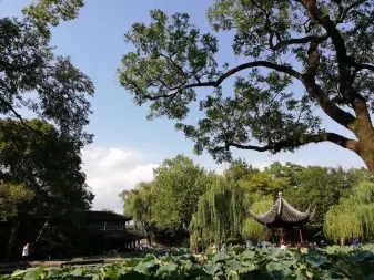 23290f2c10a415a23410c238a0abd452_n_v292ca1ddca75a442eb6cefd68fe76b32d_w=338&h=253