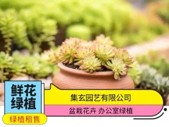 7594f0aaac731bba3e5b2e3e7dbe0b4b_n_v3c8a21b57b18248abad0c13cad2f14683_w=338&h=253