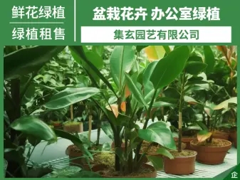 4551cfa443791b9f2f3031a0692cd605_n_v3dabf004aceeb42d686b3d4d7108b8c4e_w=338&h=253