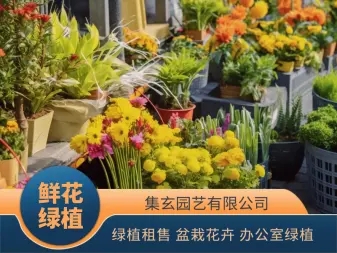 3b5fd7967b4ec507129af4707ca98ae9_n_v3117b032ed25c4abb907d919c0c206a2c_w=338&h=253